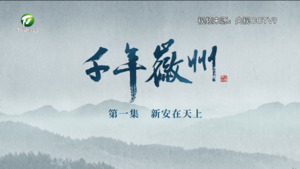 深耕徽学传统 叩响国际语境