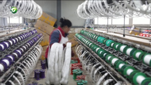 黟县：专利变资产 融资添动能