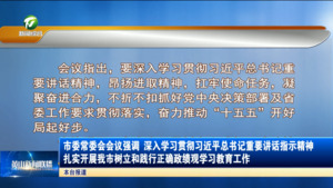 市委常委会会议强调 深入学习贯彻习近平总书记重要讲话指示精神 扎实开展我市树立和践行正确政绩观学习教育工作