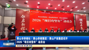 黄山市供销社（黄山供销集团）黄山产投集团召开2026“项目攻坚年”动员会
