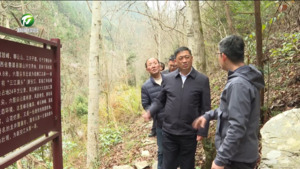 伍春宏率队赴区县开展环境状况和环境保护目标完成情况调研暨新安江流域生态环境保护工作情况视察