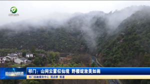 简讯 祁门：山间云雾似仙境 野樱绽放美如画