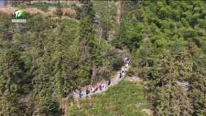 安徽“古道行”文化探访之旅首站——箬岭古道徒步活动暨春游江淮启动仪式举行