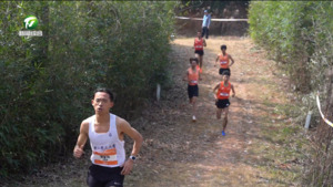 2026年全国越野跑锦标赛（第1站）暨第七届黄山越野跑锦标赛在屯溪开赛