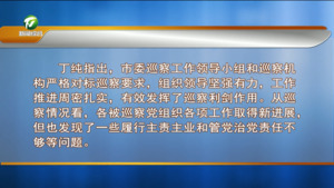 市委召开书记专题会议听取巡察工作情况汇报