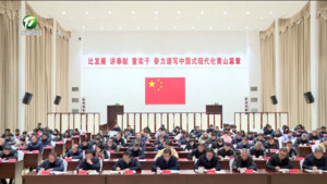 全市巡察工作会议暨七届市委第十轮巡察集中反馈、第十一轮巡察暨开发区联动巡视巡察“回头看”动员部署会议召开   丁纯出席并讲话