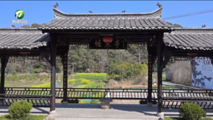 祁门白塔村首播探路“和美乡村直播间”