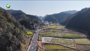 种下一片林 共护生态绿 种下一片林 共护生态绿