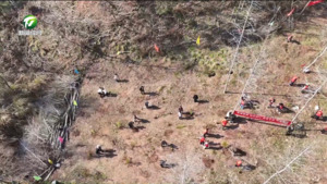 春来添绿正当时 共绘生态新画卷 春来添绿正当时 共绘生态新画卷