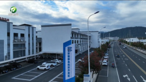 黟县:抢时间忙生产 奋力冲刺“开门红” 黟县:抢时间忙生产 奋力冲刺“开门红”