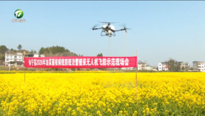 简讯：休宁：飞防“护航”油菜春管 科技助力稳产增收