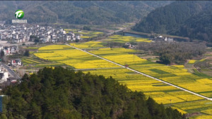 赴花田之约 品春日美味