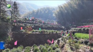 简讯 黟县：植树节里添新绿 干群合力绘新景
