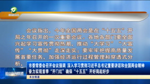 市委常委会召开会议强调 深入学习贯彻习近平总书记重要讲话和全国两会精神 奋力实现首季“开门红”确保“十五五”开好局起好步