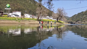 简讯 休宁：油菜花开满河畔 春日美景引客来