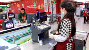 多维发力促进“她”就业 书写巾帼风采新篇章