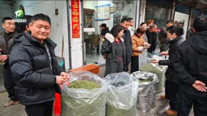 祁门：春茶上市交易 茶商闻“香”而来