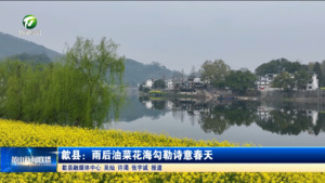 简讯 歙县：雨后油菜花海勾勒诗意春天