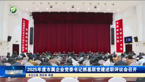 2025年度市属企业党委书记抓基层党建述职评议会召开