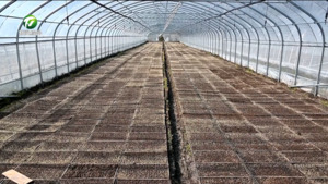 春分时节 抢抓农时育秧忙 春分时节 抢抓农时育秧忙