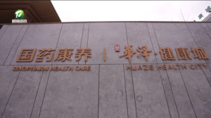 打造康养产业新典范 黄山华泽健康城正式投入使用 打造康养产业新典范 黄山华泽健康城正式投入使用