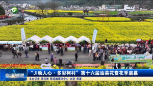 “JI动人心·多彩柯村”第十六届油菜花赏花季启幕