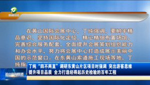 丁纯“四不两直”调研东黄山片区项目时强调 突出游客思维 提升项目品质 全力打造经得起历史检验的百年工程