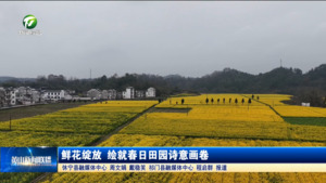 鲜花绽放 绘就春日田园诗意画卷