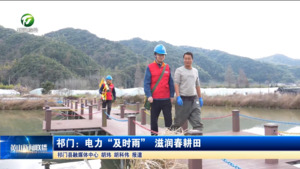 祁门：电力“及时雨” 滋润春耕田