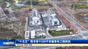 “十五五”我市首个220千伏输变电工程投运