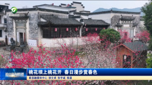 桃花坝上桃花开 春日漫步赏春色