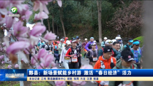 黟县:新场景赋能乡村游 激活“春日经济” 活力 黟县:新场景赋能乡村游 激活“春日经济” 活力