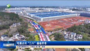 屯溪占川“二八”庙会开市 屯溪占川“二八”庙会开市