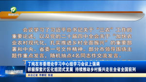 丁纯在市委理论学习中心组学习会议上强调 积极探索片区化组团式发展 持续推动乡村振兴走在全省全国前列