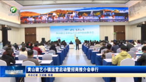 黄山徽艺小镇运营启动暨招商推介会举行