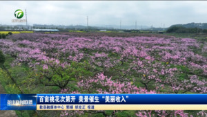 简讯：百亩桃花次第开 美景催生“美丽收入”
