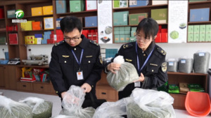 简讯：歙县：规范经营+强化监管 双管齐下护航茶叶消费