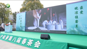 休宁松萝第八届春茶会启幕 休宁松萝第八届春茶会启幕