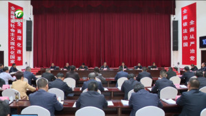 丁纯在全市部分乡镇党委书记座谈会上强调 牢固树立和践行正确政绩观 深化文旅融合发展 推动乡村全面振兴