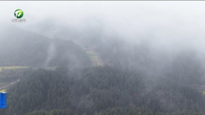 祁门：雨后金黄铺展 花间高铁飞驰