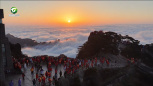 春假邂逅清明 沉浸式研学欢乐多