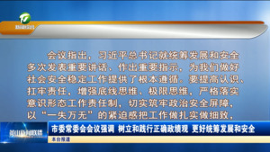 市委常委会会议强调 树立和践行正确政绩观 更好统筹发展和安全