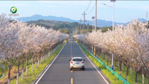 百花争艳 春日美景入画来