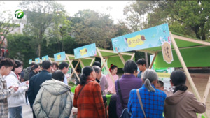 “新安养生局”春季开市 中医康养玩出新“国潮” “新安养生局”春季开市 中医康养玩出新“国潮”