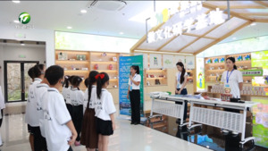 【牢记嘱托开新局 日新江淮往前赶】黄山研学绘就文旅融合新图景