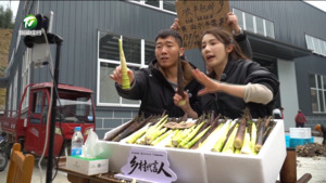 简讯：直播助农暖民心 破解笋农滞销忧