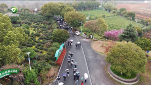 乐享“行走课堂”  不负春日美好时光