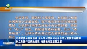 市委常委会会议强调 深入学习贯彻习近平总书记重要讲话精神 树立和践行正确政绩观 持续推动高质量发展