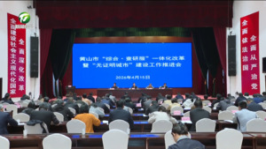 全市“综合·查研服”一体化改革暨“无证明城市”建设工作推进会召开