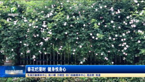 春花烂漫时 健身悦身心